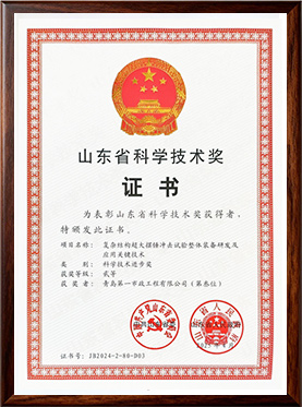 山东省科学技术奖-科学技术进步奖二等奖