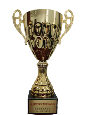 5青岛市东海路（2012年市政道路和背街小巷）整治工程被评为2014年度全国市政金杯奖示范工程（奖杯）