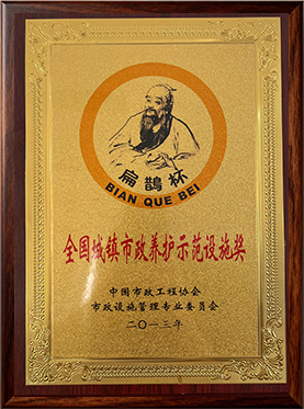 2011-2012年度“城镇市政养护示范设施（扁鹊奖）——海信立交桥